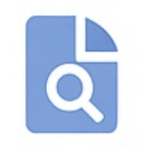 Audit